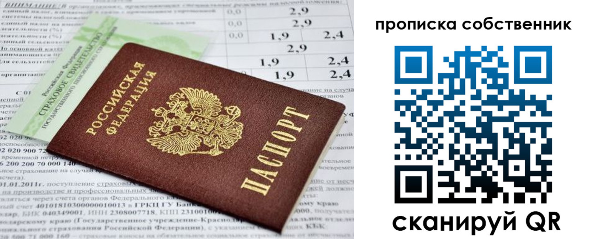 прописка 2025 в Рошале